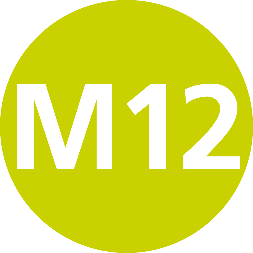 M12