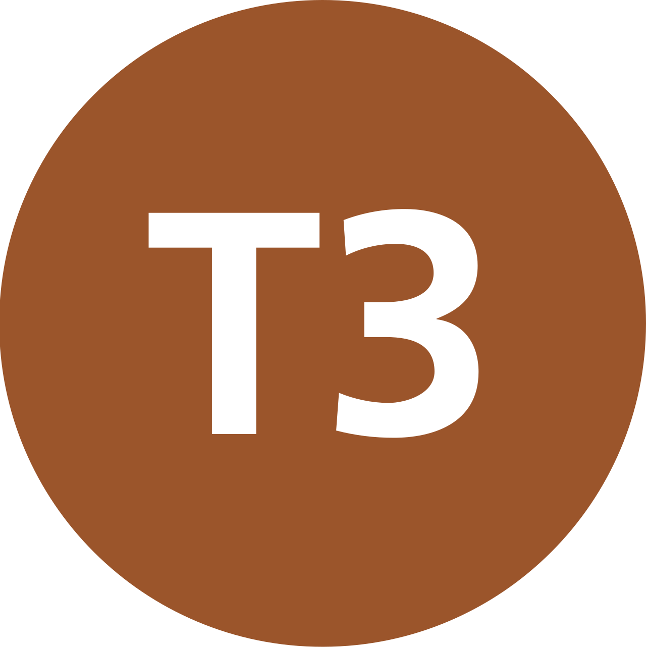 T3